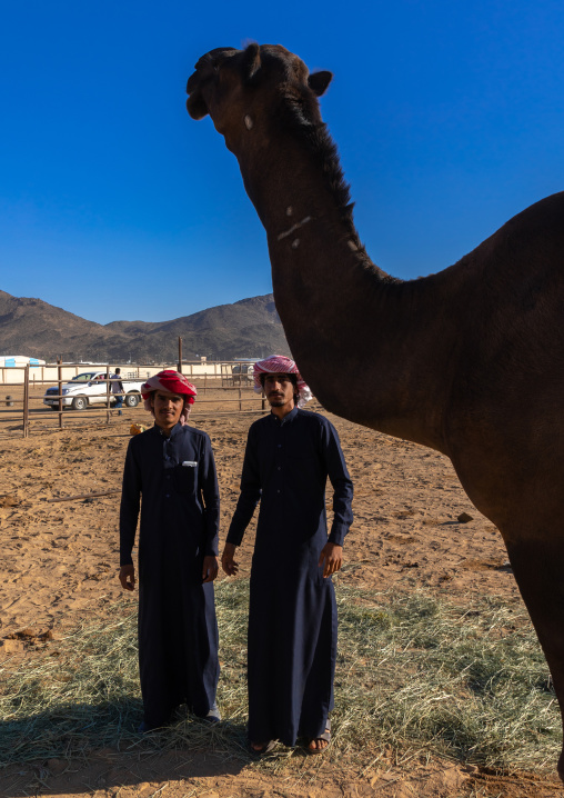Saudi men with a camel in a farm, Najran Province, Najran, Saudi Arabia