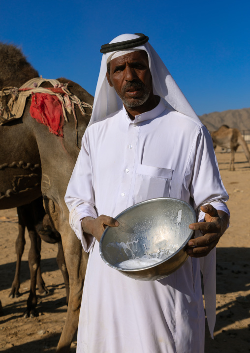 Saudi man miking a camel, Najran Province, Najran, Saudi Arabia