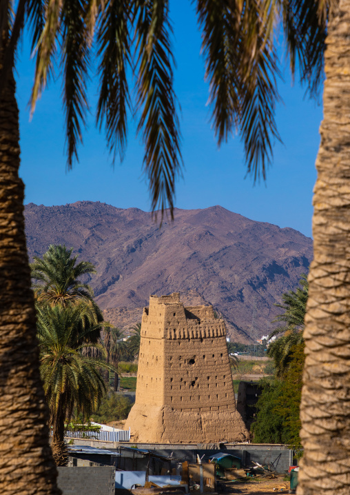 Traditional old mud house in the middle of plam trees, Najran Province, Najran, Saudi Arabia