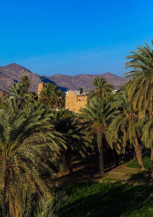 Old mud house in the middle of palm trees, Najran Province, Najran, Saudi Arabia