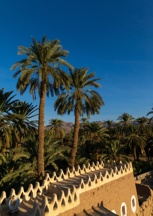 Old mud house in the middle of palm trees, Najran Province, Najran, Saudi Arabia