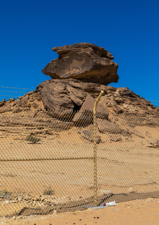 Life-sized camel petroglyph on a rock, Najran Province, Thar, Saudi Arabia