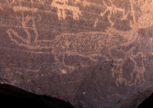 Petroglyphs rock art depicting an animal hunted, Najran Province, Thar, Saudi Arabia