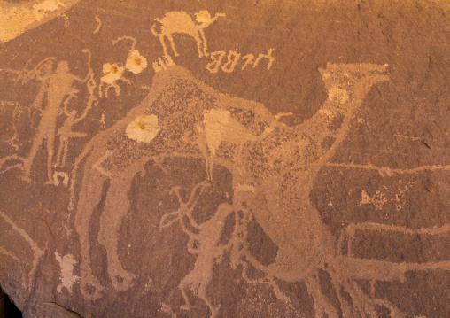 Petroglyphs on a rock depicting camel with bullet holes, Najran Province, Thar, Saudi Arabia