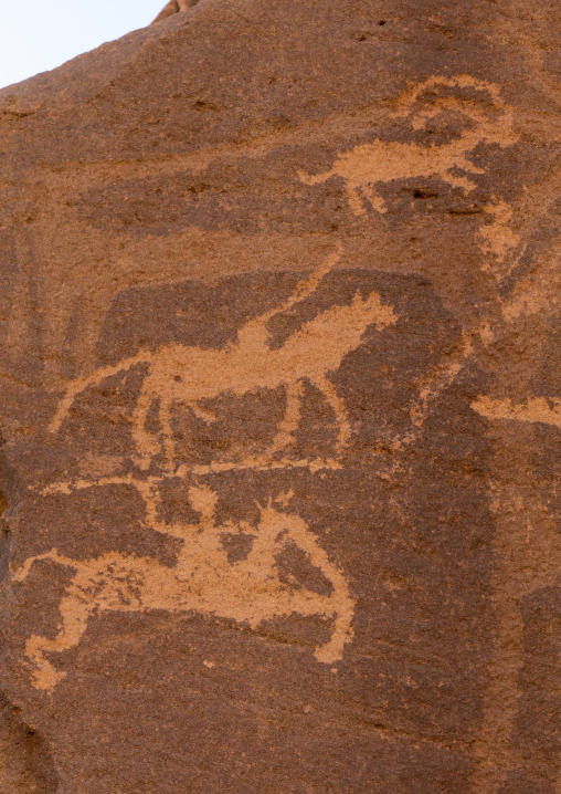 Petroglyphs on a rock depicting hunters, Najran Province, Thar, Saudi Arabia