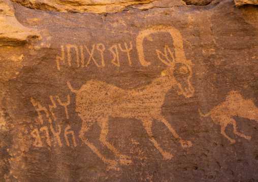 Petroglyphs on a rock depicting ibex, Najran Province, Thar, Saudi Arabia