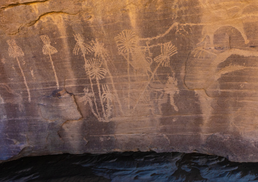 Petroglyphs rock art depicting palm trees, Najran Province, Minshaf, Saudi Arabia