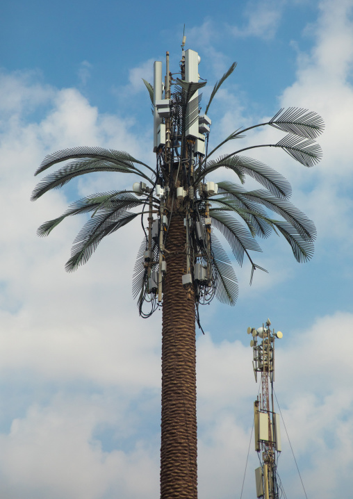 Fake palm used as a phone antenna relay, Mecca province, Jeddah, Saudi Arabia