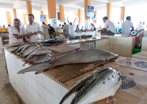 Sharks for sale in the fish market, Jizan Province, Jizan, Saudi Arabia