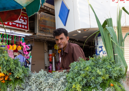 A flower vendor preparing floral garlands and crowns on a market, Jizan Province, Sabya, Saudi Arabia