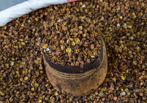 Coffee skins used for traditional drink, Jizan Province, Sabya, Saudi Arabia