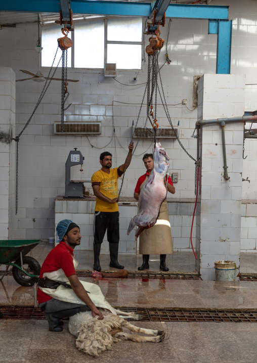 Butchers working at slaughterhouse, Najran Province, Najran, Saudi Arabia
