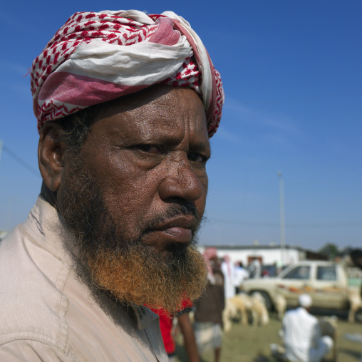 Portrait of a saudi man wearing a keffieh, Jizan Province, Sabya, Saudi Arabia