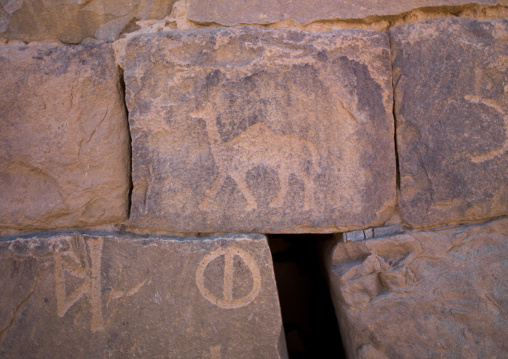 Rock art depicting camels al ukhdud site, Najran Province, Najran, Saudi Arabia
