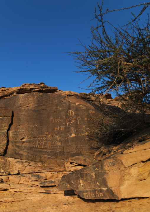 Rock inscriptions, Najran Province, Najran, Saudi Arabia