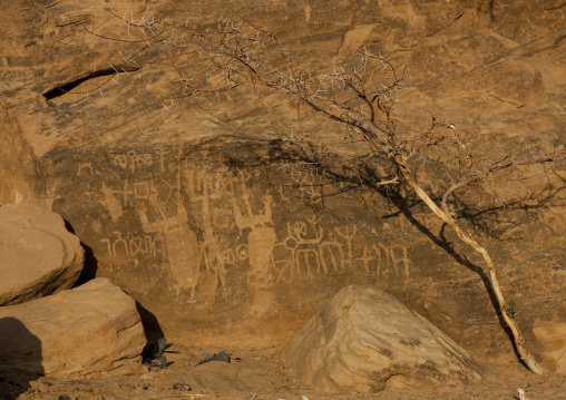 Petroglyphs rock art depicting godesses dancing, Najran Province, Abar Himma, Saudi Arabia