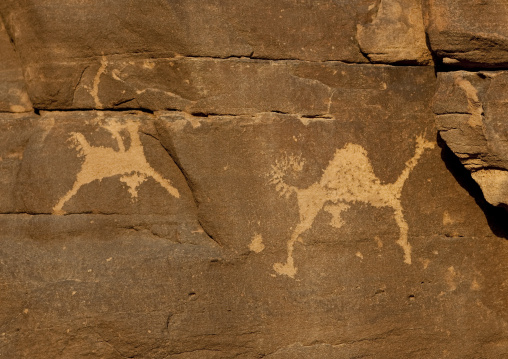 Petroglyphs on a rock depicting hunters and camels, Najran Province, Abar Himma, Saudi Arabia