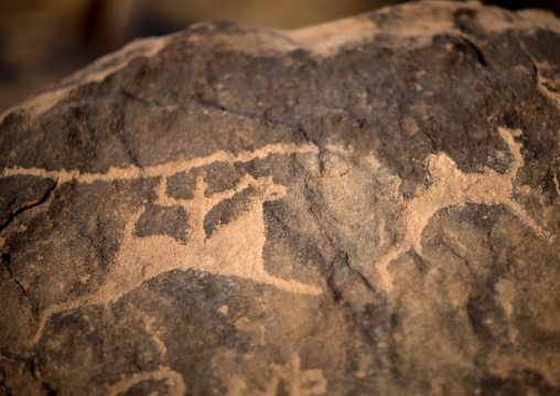 Petroglyphs on a rock depicting a hunter and a camel, Najran Province, Abar Himma, Saudi Arabia