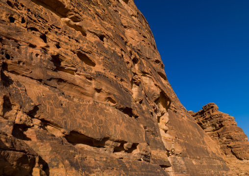 Petroglyphs in the mountain depicting horses and camels, Al Madinah Province, Al-Ula, Saudi Arabia
