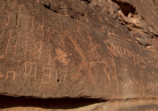 Petroglyphs on a rock depicting a man riding a camel, Al Madinah Province, Alula, Saudi Arabia