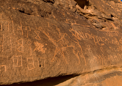 Petroglyphs in the mountain depicting camels, Al Madinah Province, Al-Ula, Saudi Arabia