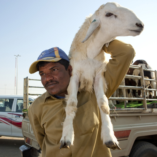 Man in the animal market, Najran Province, Najran, Saudi Arabia