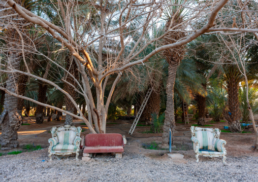 Old sofas in a garden, Al-Jawf Province, Sakaka, Saudi Arabia