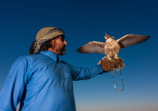Saudi man with falcon perching on hand, Al-Jawf Province, Sakaka, Saudi Arabia