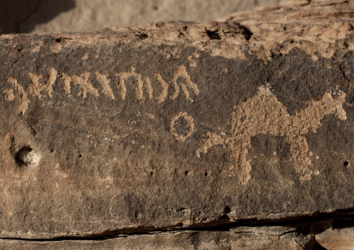Petroglyphs rock art depicting a camel, Al Madinah Province, Alula, Saudi Arabia