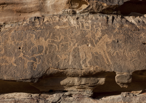 Petroglyphs on a rock depicting camels and horses, Al Madinah Province, Alula, Saudi Arabia