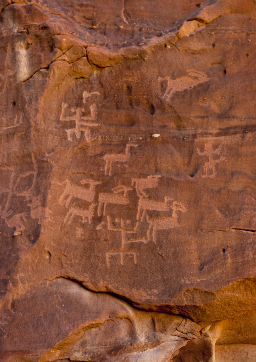 Petroglyphs rock art depicting ibex, Al Madinah Province, Alula, Saudi Arabia