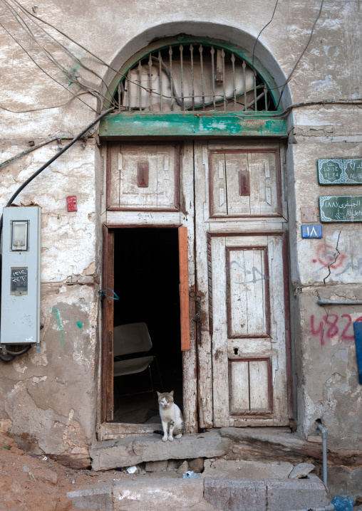 Cat in front of a wooden door house in the old quarter, Hijaz Tihamah region, Jeddah, Saudi Arabia