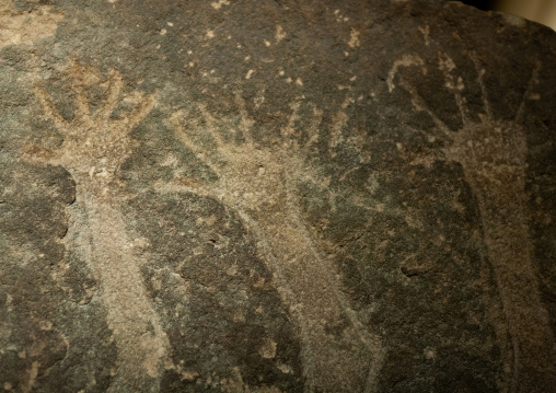 Petroglyphs in the museum, Riyadh Province, Riyadh, Saudi Arabia