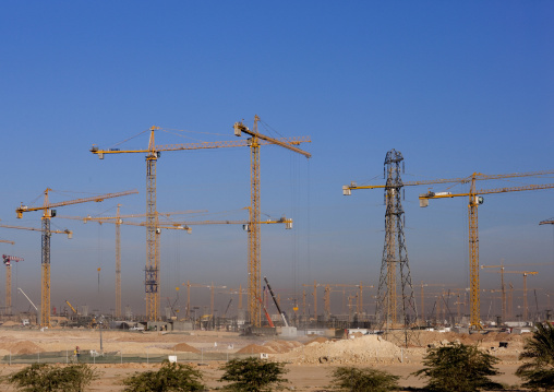 Cranes in Princess nora bint abdulrahman university, Riyadh Province, Riyadh, Saudi Arabia