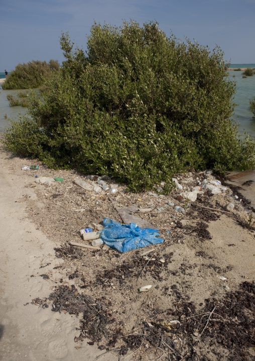 Pollution on a beach, Red Sea, Farasan, Saudi Arabia