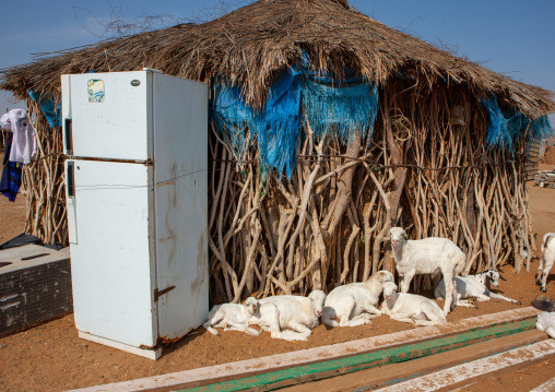 Refrigerator in front of a traditional tihama hut, Jizan Region, Jizan, Saudi Arabia