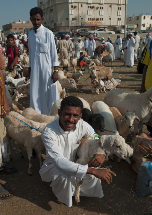 Animal market  in sabya, Tihama,  Saudi arabia