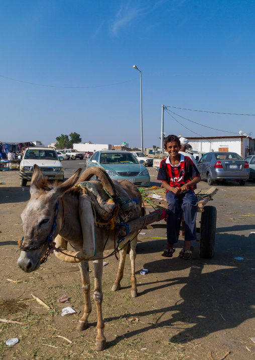 Saudi boy sit on a cart with a donkey in the market, Jizan Province, Sabya, Saudi Arabia