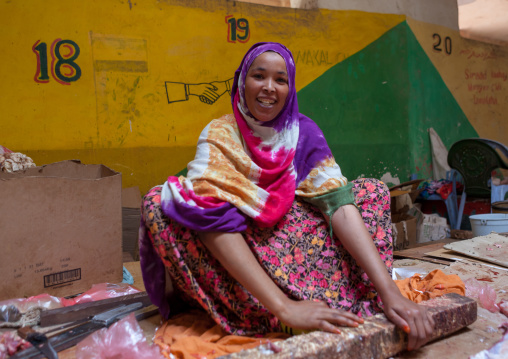 A woman sitting on the floor selling meat, Woqooyi Galbeed region, Hargeisa, Somaliland