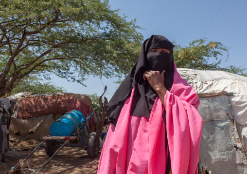 Portrait of a somali girl wearing a niqab, Woqooyi Galbeed region, Hargeisa, Somaliland