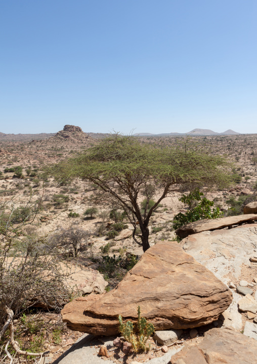 Landscape of the las geel area, Woqooyi Galbeed region, Hargeisa, Somaliland