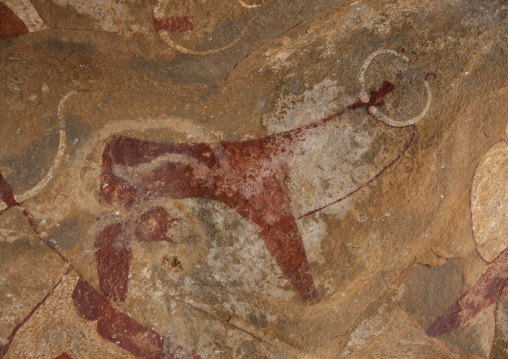 Laas Geel Rock Art Caves, Paintings Depicting Cows, Hargeisa, Somaliland