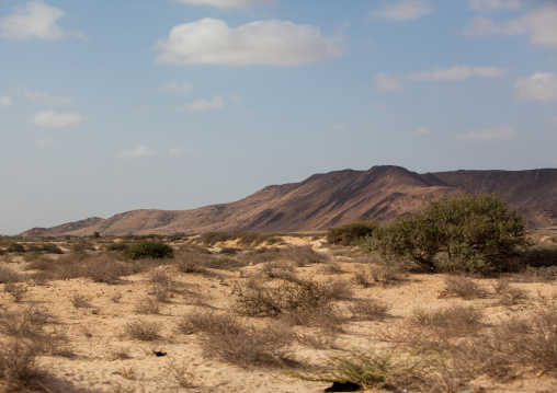 Hill in an arid landscape, Woqooyi Galbeed region, Hargeisa, Somaliland
