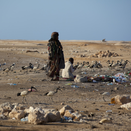 People Looking Through Trash In A Wasteland With Birds, Berbera, Somaliland