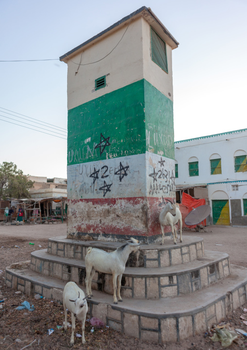 Goats in the main square, North-Western province, Berbera, Somaliland