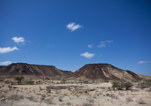 Landscape Of Small Mountains In A Desertified Area, Berbera Area, Somaliland