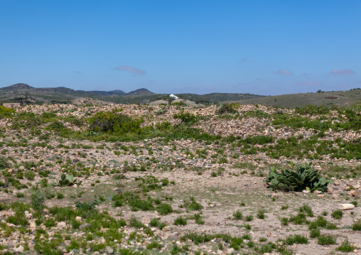A panoramic view of the sheikh mountains, Togdheer, Sheikh, Somaliland
