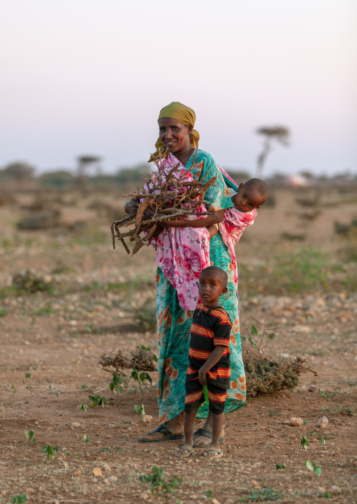 Portrait of a somali mother with her children collecting wood, Woqooyi Galbeed province, Baligubadle, Somaliland
