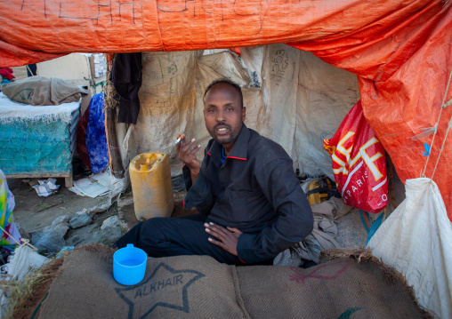 Somali khat seller in the market, Woqooyi Galbeed region, Hargeisa, Somaliland