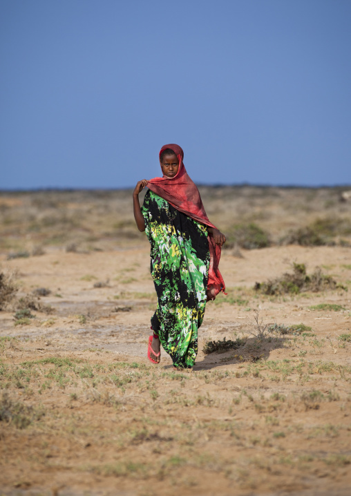A Nomad Woman Wearing A Green Dress Walking In the Desert, Berbera Area, Somaliland